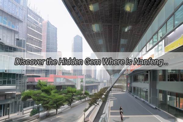 Discover the Hidden Gem Where is Nanfeng Shopping Mall Located in Guangzhou